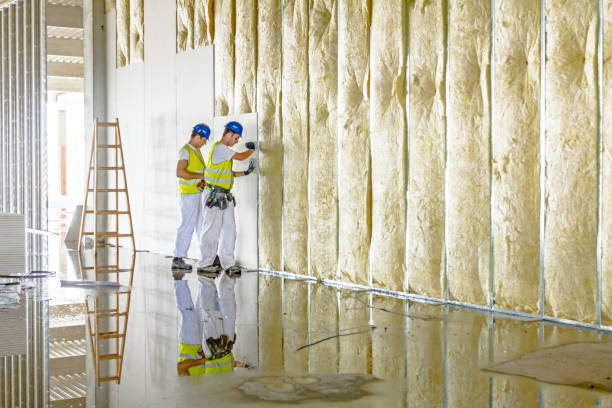 Best Types of Insulation in Morgan Hill, CA